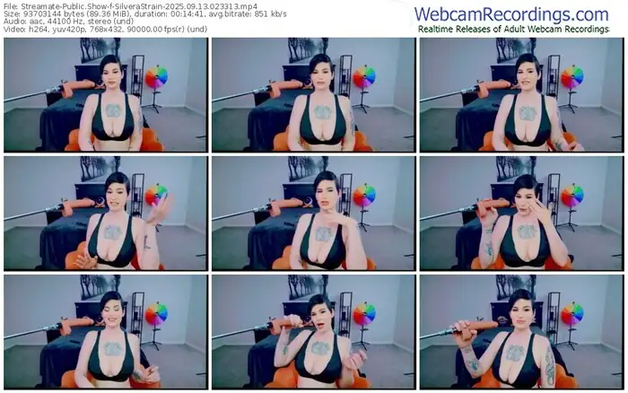2025/09/13/streamate-silverastrain-02-33-13