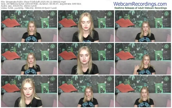 2025/09/13/streamate-sofysoft-08-46-32