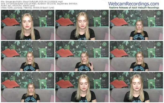 2025/09/13/streamate-sofysoft-09-39-31