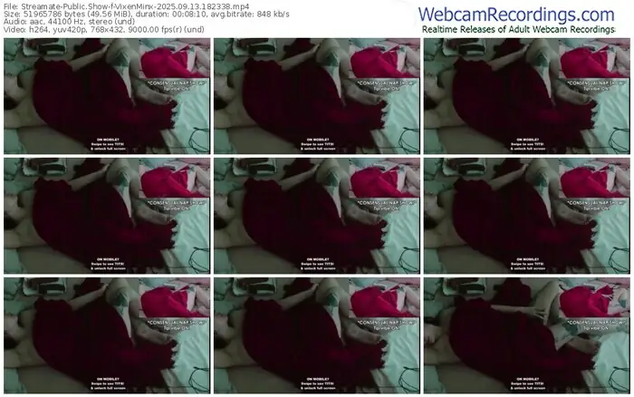 2025/09/13/streamate-vixenminx-18-23-38