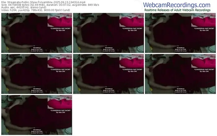 2025/09/13/streamate-vixenminx-19-43-14