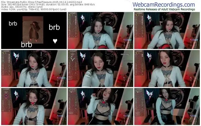 2025/09/14/streamate-pawpleasure-14-42-02