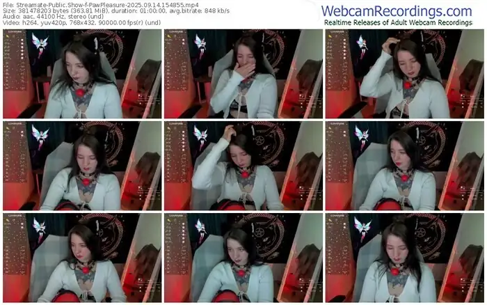 2025/09/14/streamate-pawpleasure-15-48-55