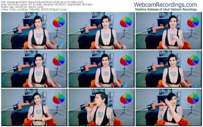 2025/09/14/streamate-silverastrain-01-28-51