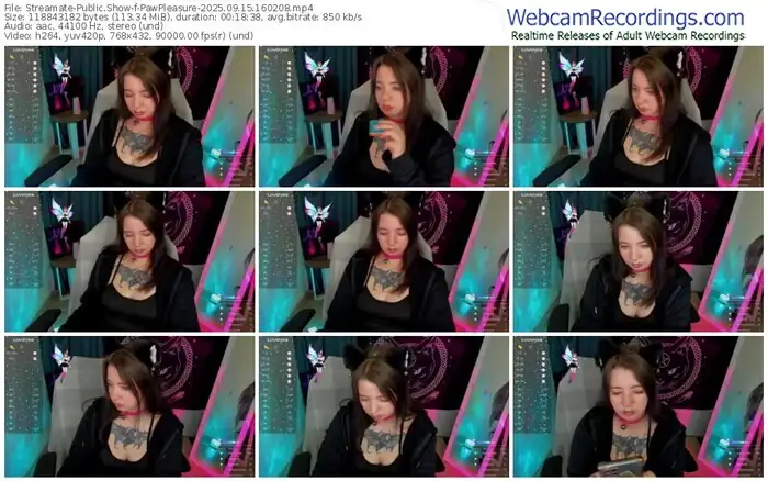 2025/09/15/streamate-pawpleasure-16-02-08