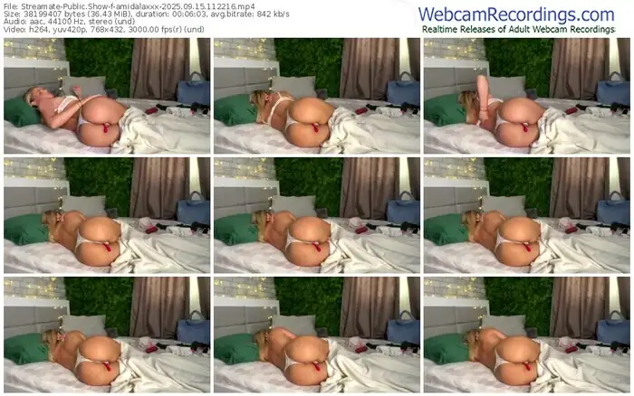 2025/09/15/streamate-amidalaxxx-11-22-16