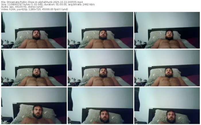 2025/10/22/streamate-alphahhunk-20-35-55