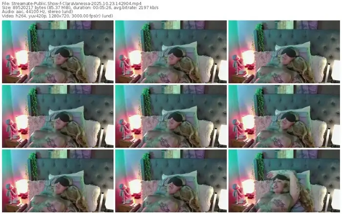 2025/10/23/streamate-claravanessa-14-29-04