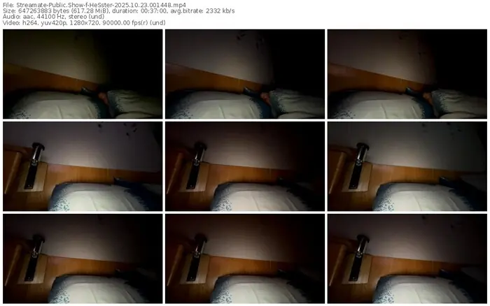 2025/10/23/streamate-hesster-00-14-48