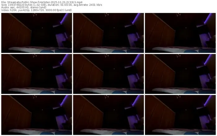 2025/10/23/streamate-hesster-21-33-13