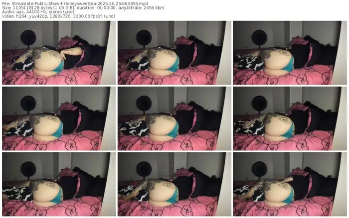 2025/10/23/streamate-honeysweettea-06-33-56