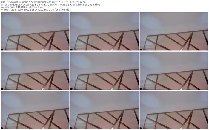 2025/10/23/streamate-ninnaevansx-10-13-29