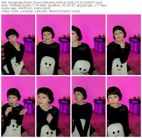 2025/10/23/streamate-reverie_rollick-00-43-07