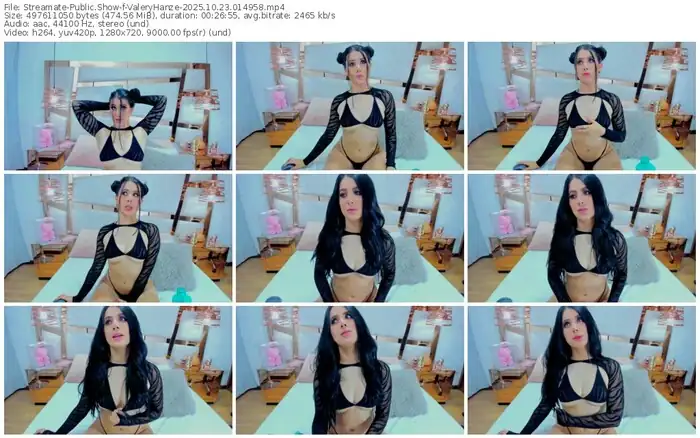2025/10/23/streamate-valeryhanze-01-49-58