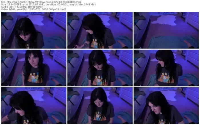 2025/10/23/streamate-willowxrose-04-04-00