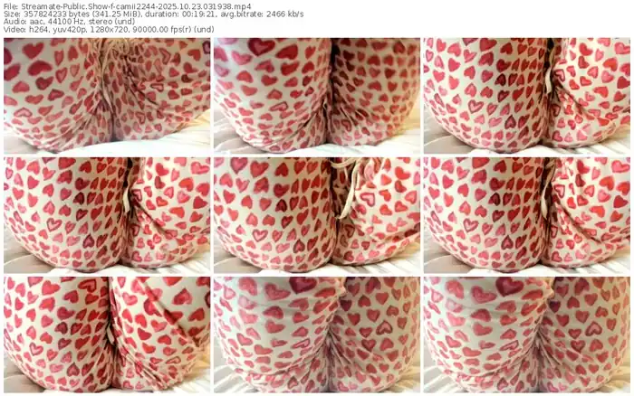 2025/10/23/streamate-camii2244-03-19-38