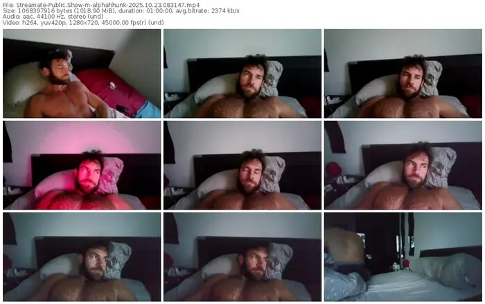 2025/10/23/streamate-alphahhunk-08-31-47