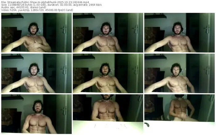 2025/10/23/streamate-alphahhunk-18-24-44