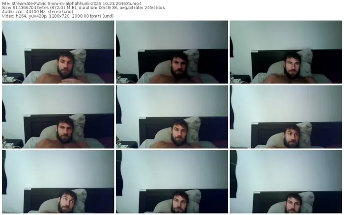 2025/10/23/streamate-alphahhunk-20-46-35