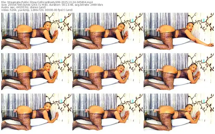 2025/10/24/streamate-africanbooty999-04-58-04