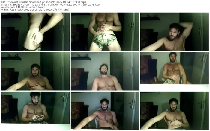 2025/10/24/streamate-alphahhunk-17-03-30