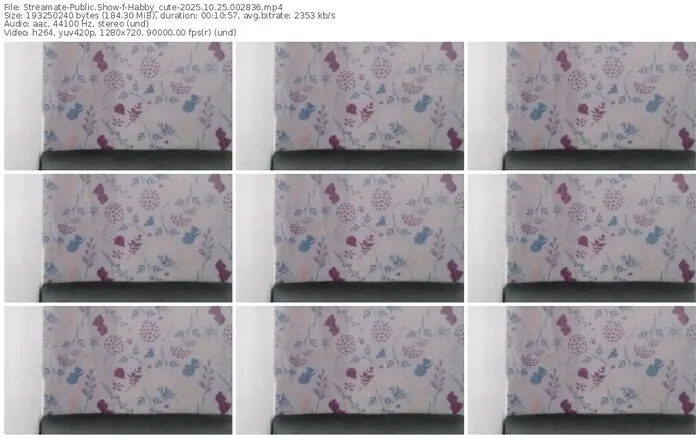 2025/10/25/streamate-habby_cute-00-28-36