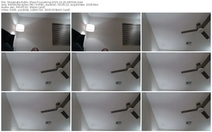 2025/10/25/streamate-luciaking-06-55-04