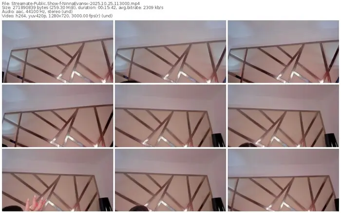 2025/10/25/streamate-ninnaevansx-11-30-00