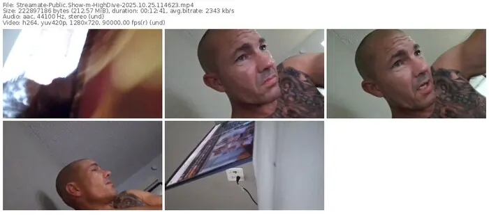 2025/10/25/streamate-highdive-11-46-23