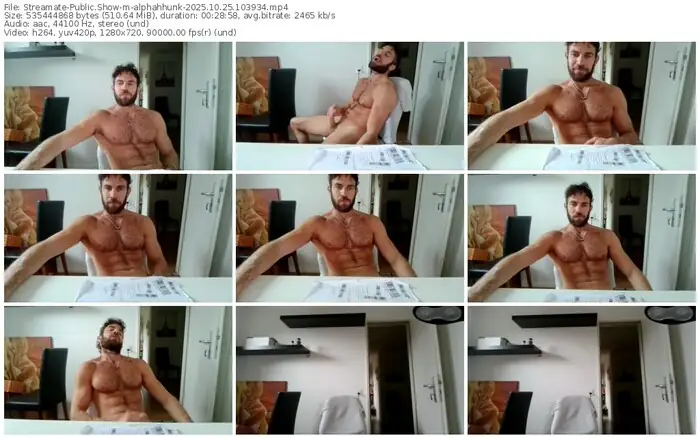 2025/10/25/streamate-alphahhunk-10-39-34