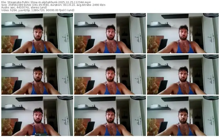 2025/10/25/streamate-alphahhunk-11-23-44