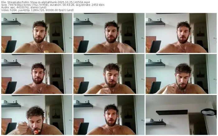 2025/10/25/streamate-alphahhunk-14-25-04