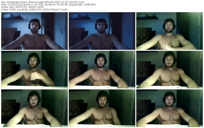 2025/10/25/streamate-alphahhunk-16-04-57