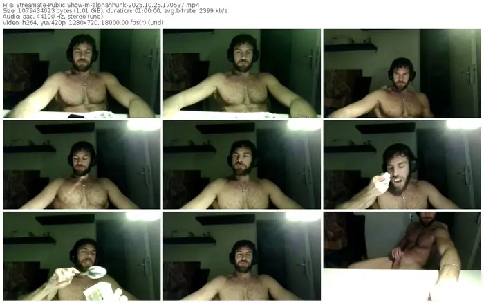 2025/10/25/streamate-alphahhunk-17-05-37
