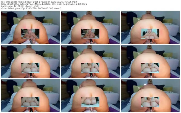 2025/10/26/streamate-deaf_brabuster-17-31-05