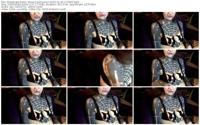 2025/10/26/streamate-joidivision-17-32-06