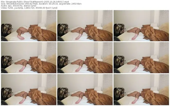 2025/10/26/streamate-katreesexo-04-50-17