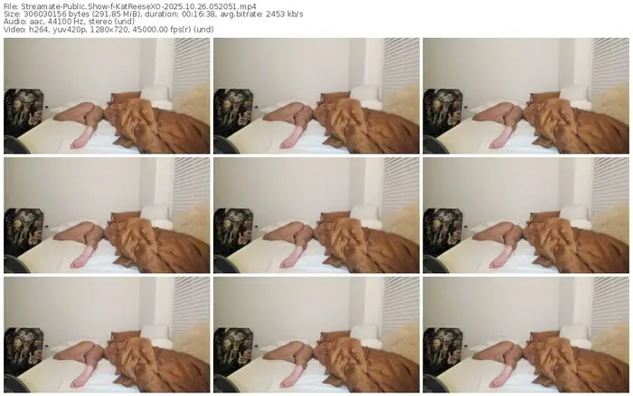 2025/10/26/streamate-katreesexo-05-20-51