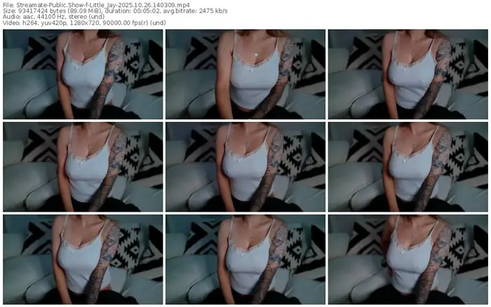 2025/10/26/streamate-little_jay-14-03-09