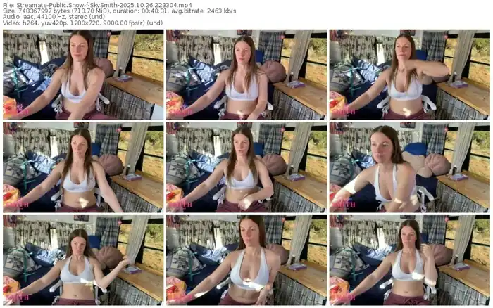 2025/10/26/streamate-skysmith-22-33-04