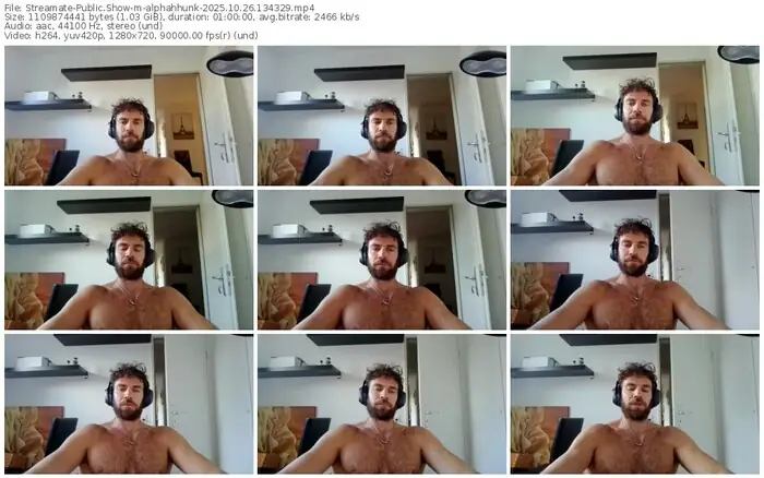 2025/10/26/streamate-alphahhunk-13-43-29