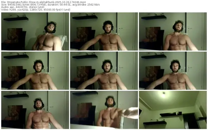 2025/10/26/streamate-alphahhunk-17-42-46