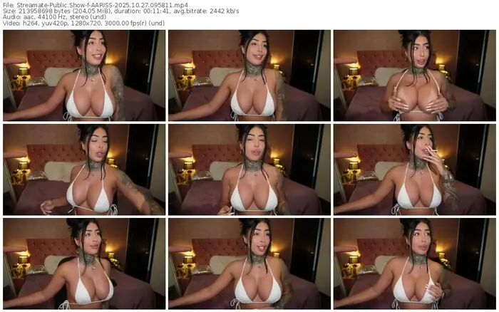 2025/10/27/streamate-aariss-09-58-11