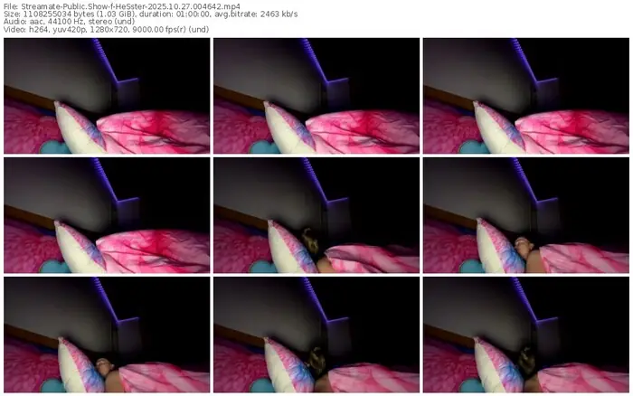 2025/10/27/streamate-hesster-00-46-42