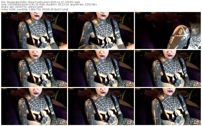 2025/10/27/streamate-joidivision-13-33-31