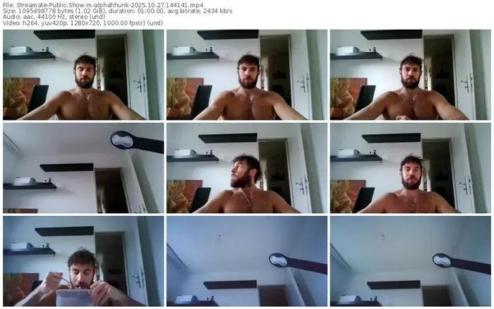 2025/10/27/streamate-alphahhunk-14-41-41