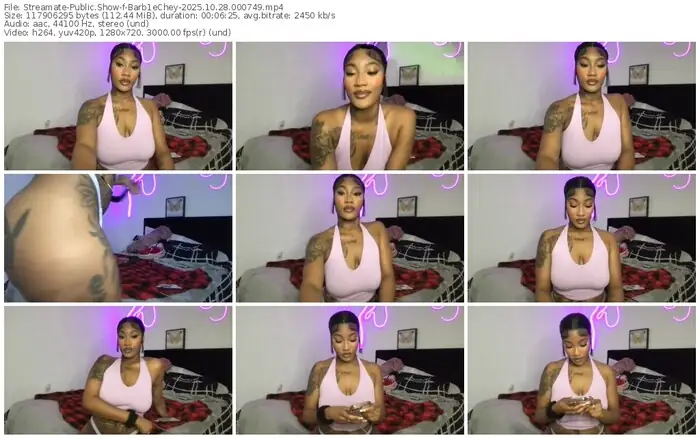 2025/10/28/streamate-barb1echey-00-07-49