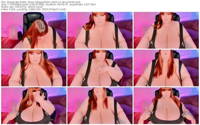 2025/10/28/streamate-biggymelon-12-43-43