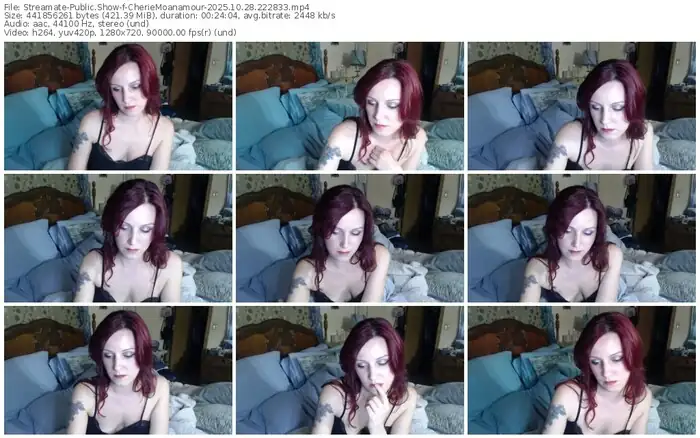 2025/10/28/streamate-cheriemoanamour-22-28-33