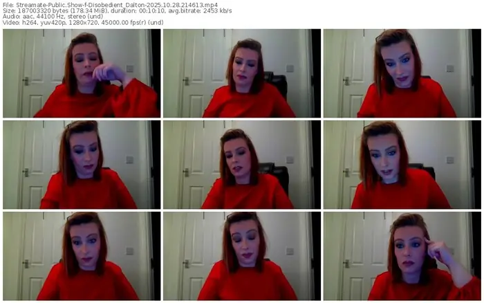 2025/10/28/streamate-disobedient_dalton-21-46-13